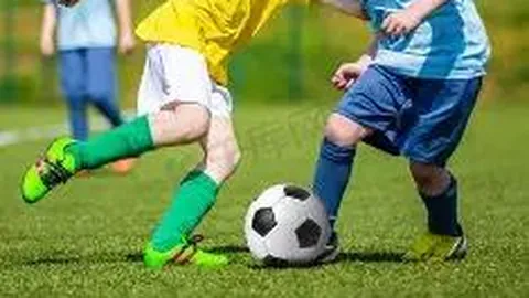 PM体育官网入口