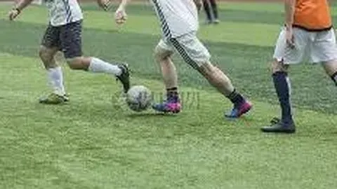 PM体育官网入口 资讯 085722 7z3