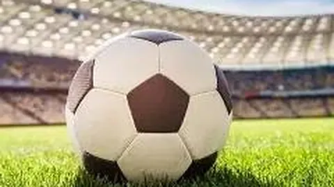 PM体育官网入口 产品 085745 a22