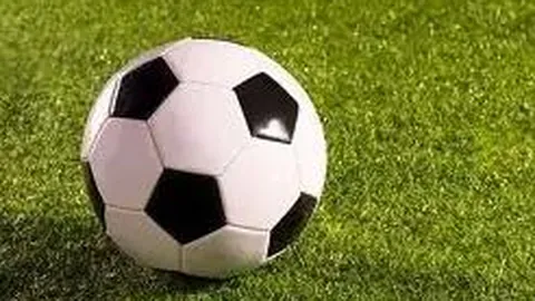 PM体育官网入口 产品 085841 dov