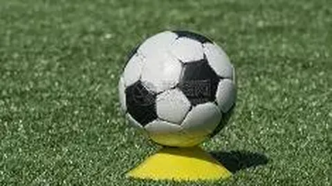 “2025年山东体育学院日照校区举办‘Luzz杯’匹克球锦标赛”