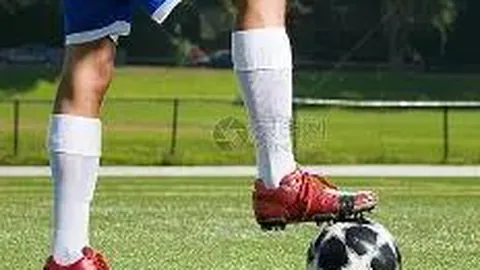 PM体育官网入口 产品 083942 10d